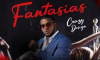 Crazy Design - Fantasias