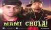 Dixson Waz Ft. Poeta Callejero - Calibrao
