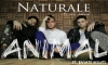 Nicky Jam Ft. Bad Bunny, Arcangel - Satisfacción