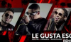 Bulova Ft. Chimbala, Musicologo – Le Gusta Eso (Remix) (Official Video)