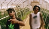 Ty Dolla Sign - Irie ft. Wiz Khalifa (Official Video)